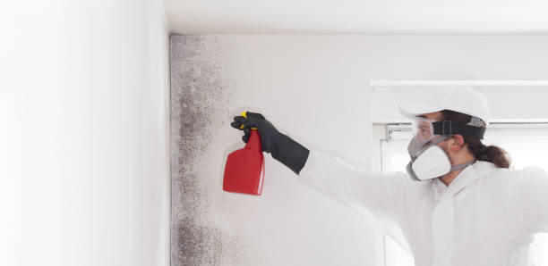 Best Residential Mold Removal  in Mulgee, OK